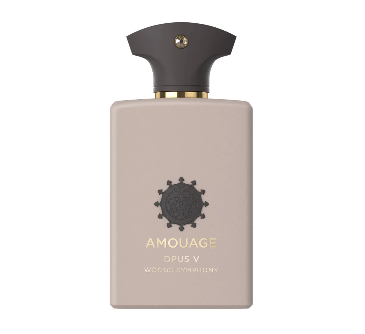 Amouage Opus V Woods Symphony EDP 100 ML Erkek Parfüm