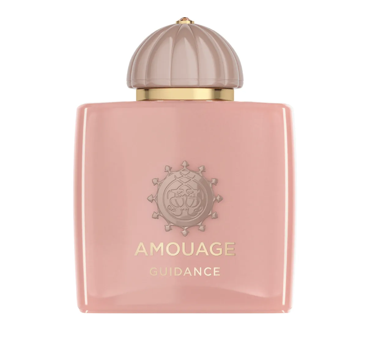 Amouage Guidance EDP 100 ML Kadın Parfüm
