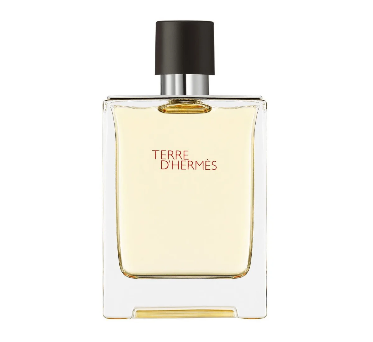 Hermès Terre d’Hermès EDT 100 ML Erkek Parfüm