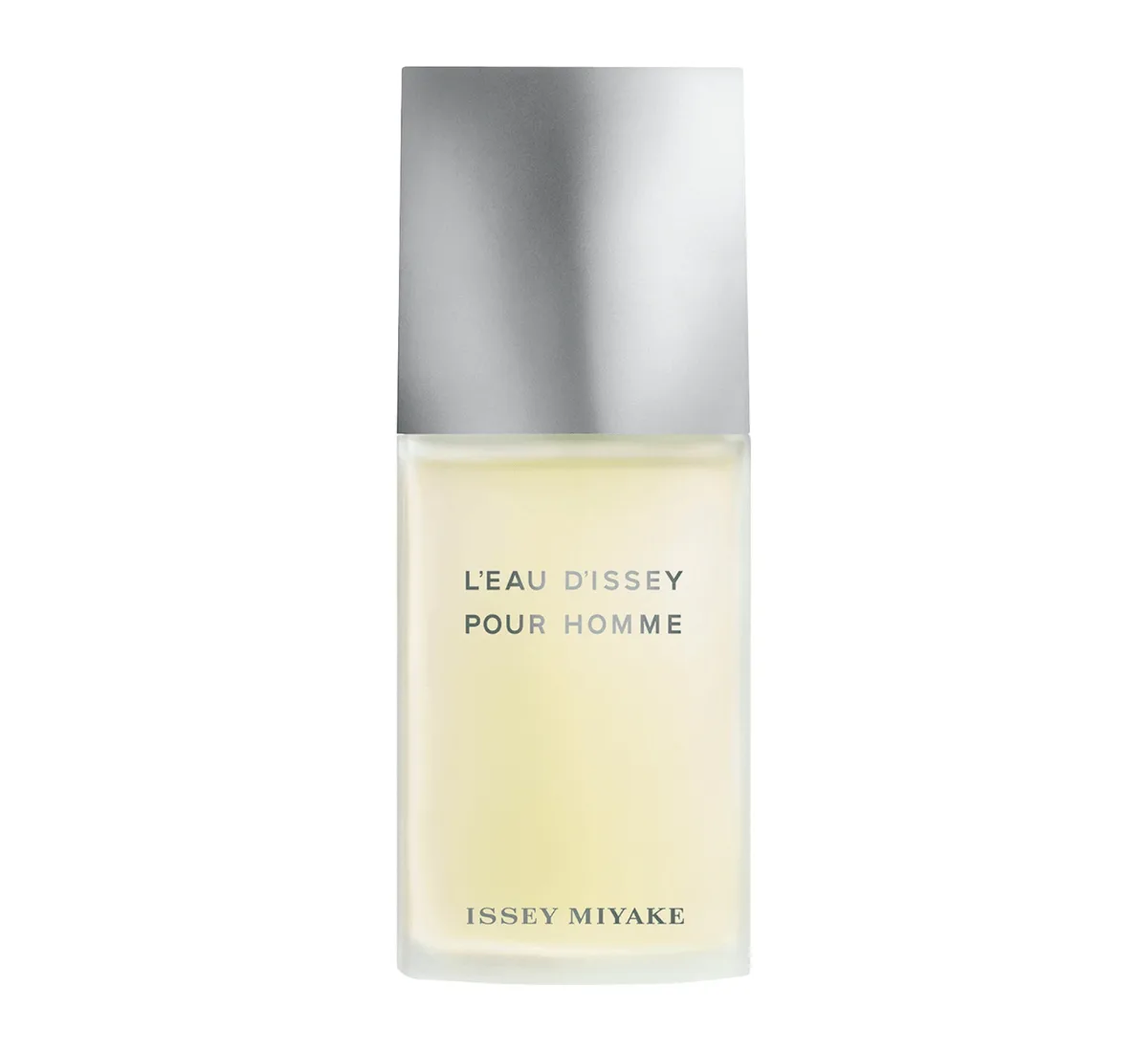 Issey Miyake L'Eau d'Issey Pour Homme EDT 100 ML Erkek Parfüm
